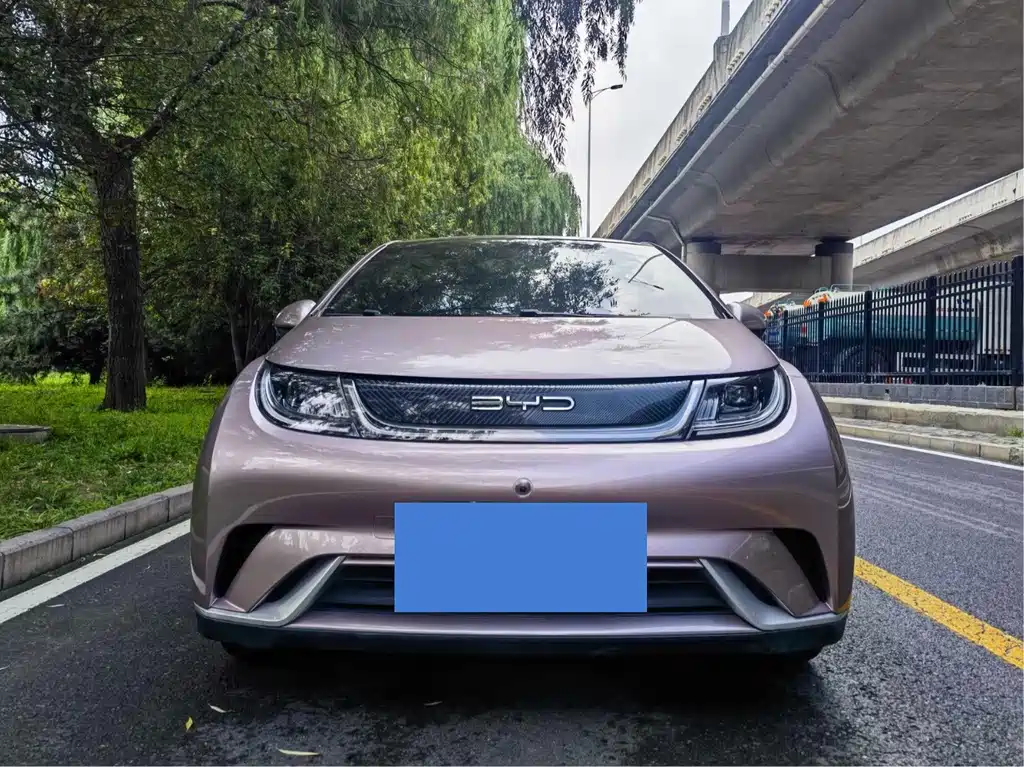 BYD Dolphin 2022
