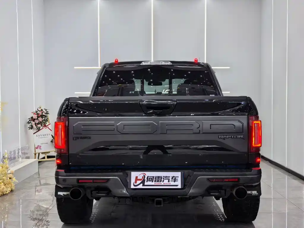 Ford F-150 Raptor 2019 — фото 8