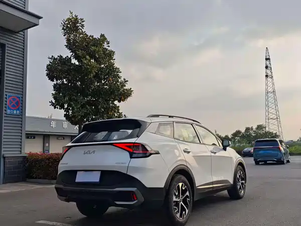 Kia Lion Platinum Expands The Boundary 2025