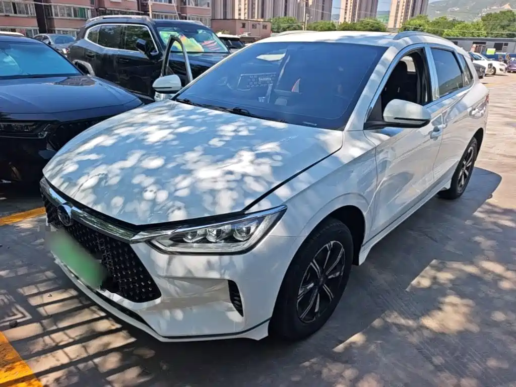 BYD e2 2021