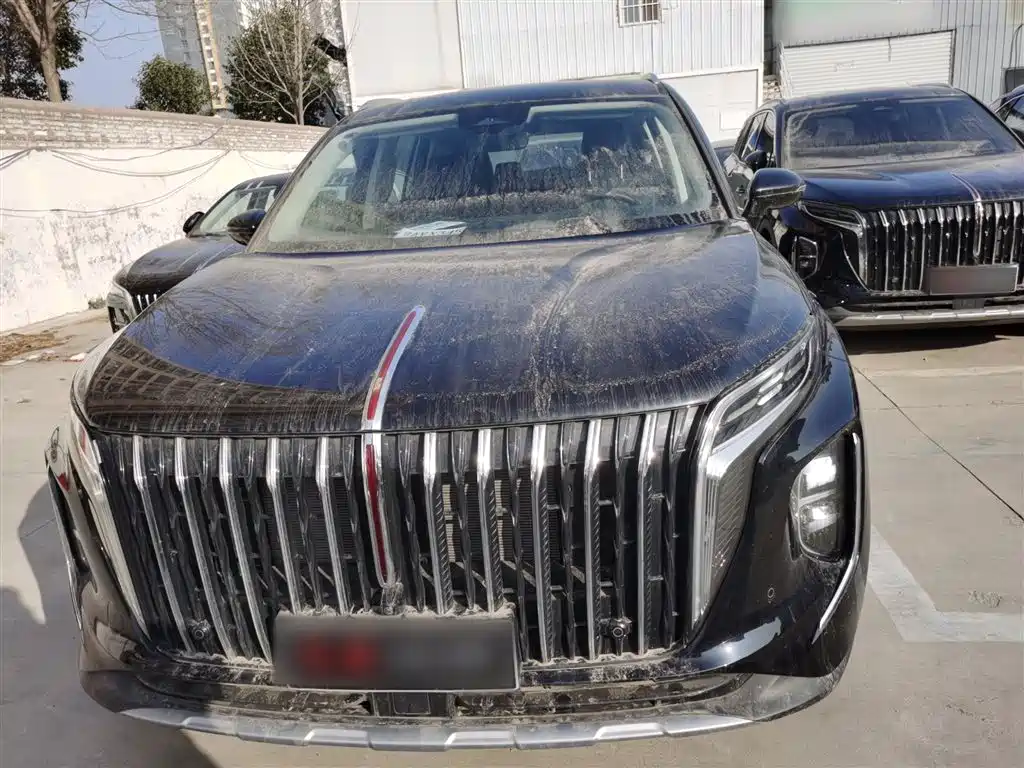 Hongqi HS7 PHEV 2024 — фото 19
