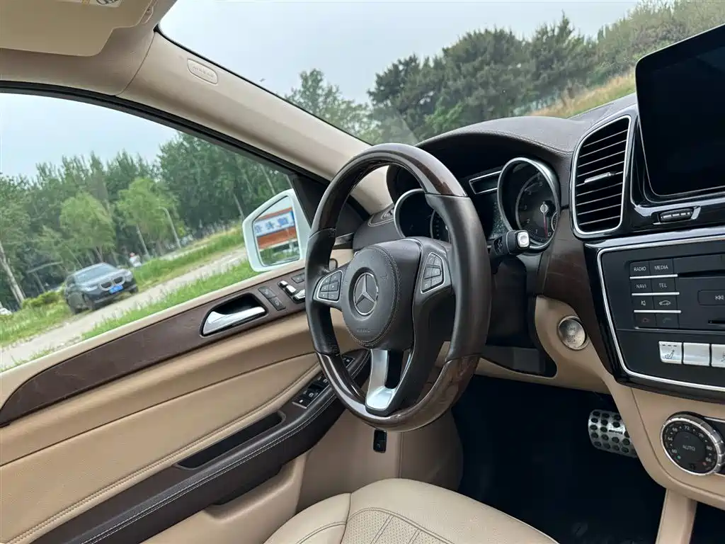 Mercedes-Benz GLS 2018 — фото 18