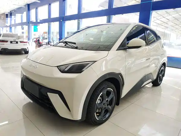BYD Seagull 2024