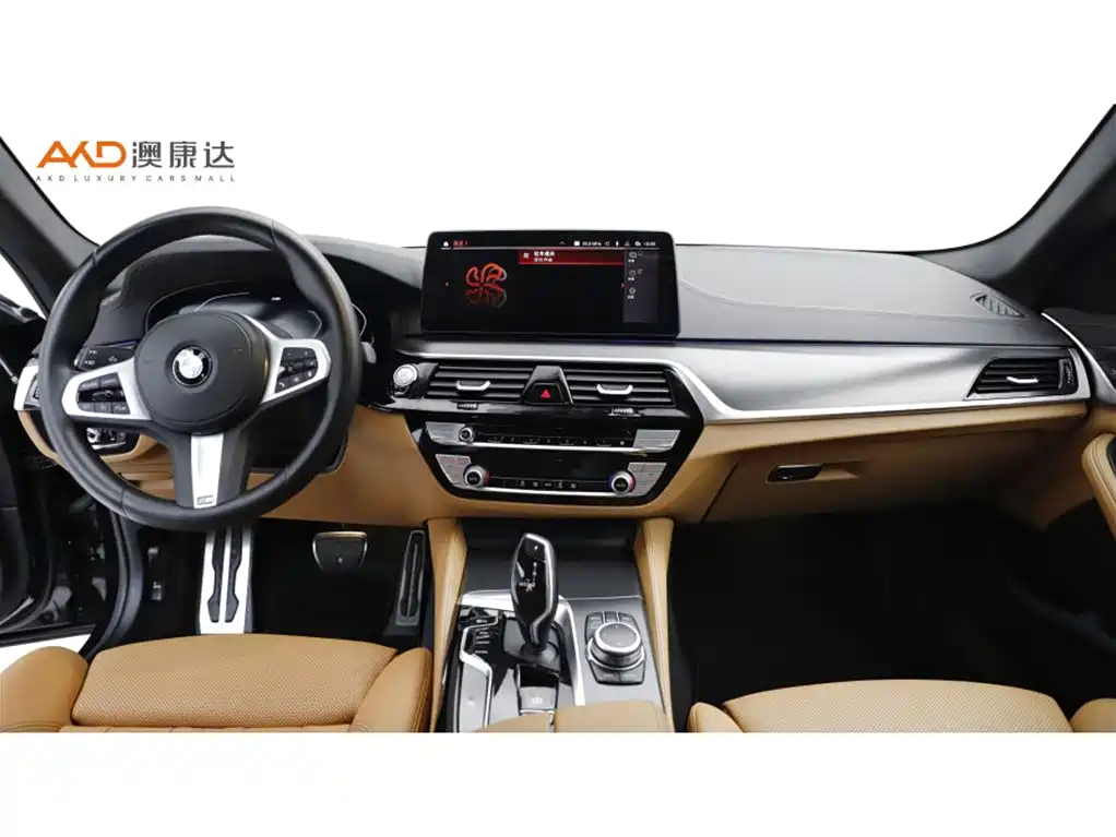 BMW 5 Series 2022