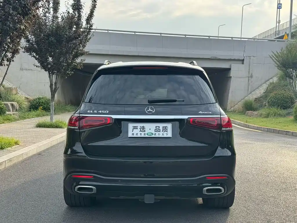 Mercedes-Benz GLS 2020 — фото 8