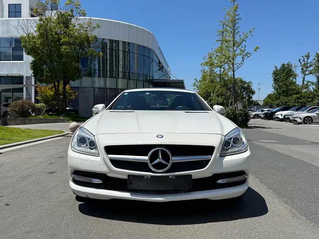 Mercedes-Benz SLK-Class 2014 — фото 2