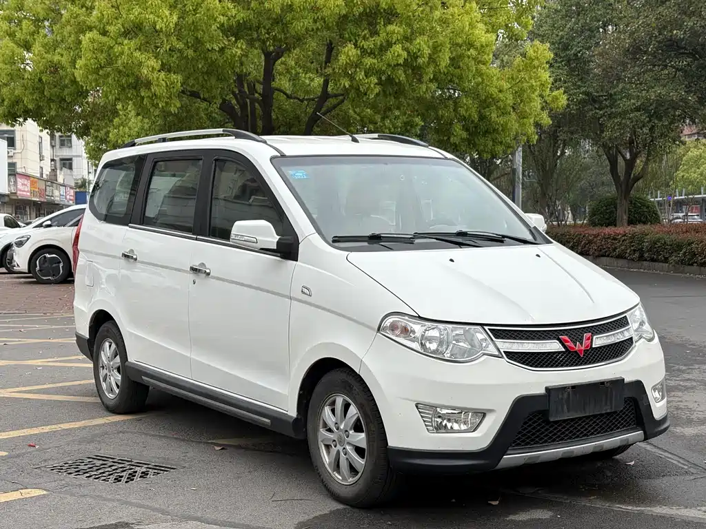 Wuling Hongguang 2014