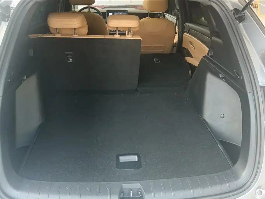 BYD L DM-i 2024 — фото 4