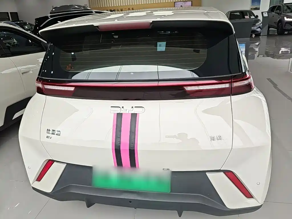 BYD Seagull 2024