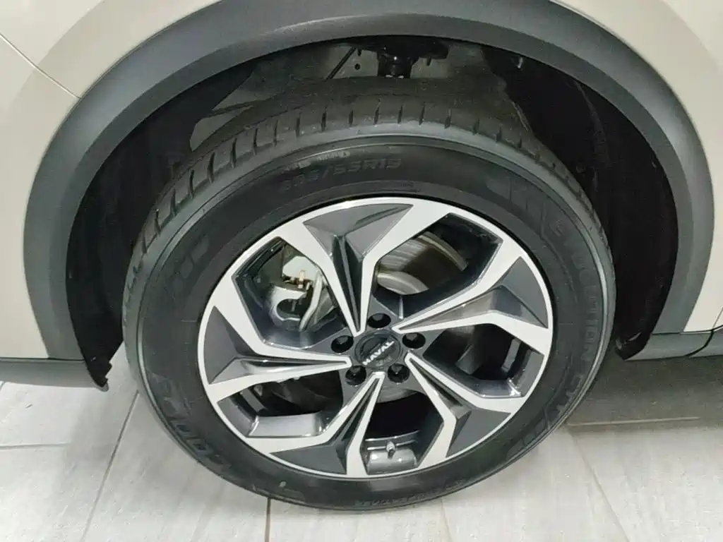 Haval Xiaolong MAX 2025 — фото 23