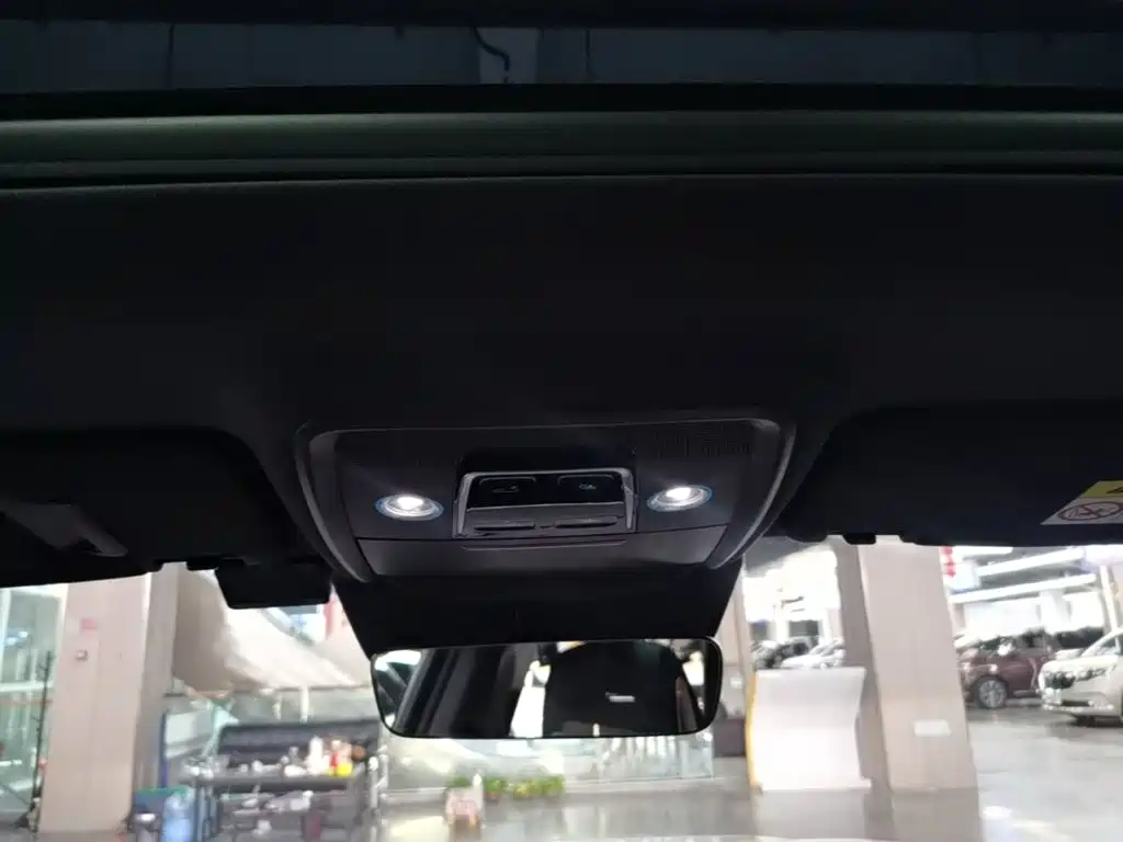 BYD PLUS New Energy 2023 — фото 18