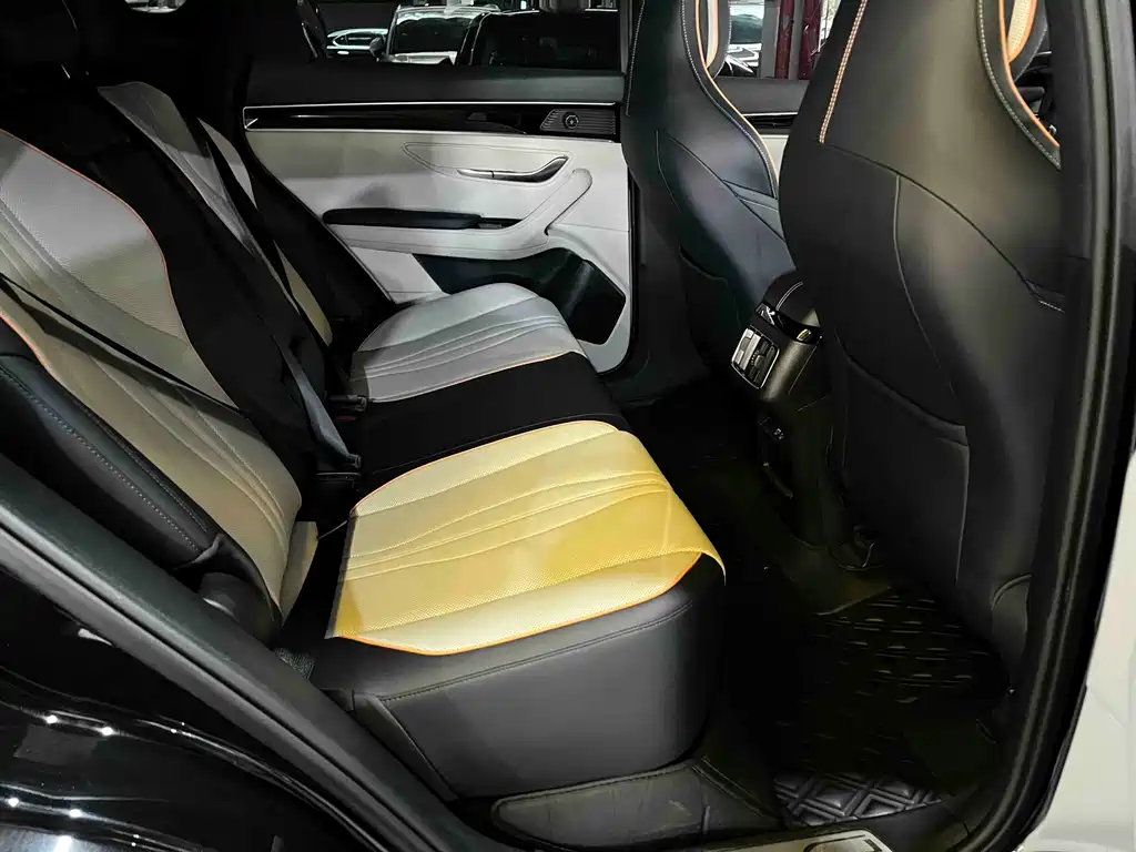 BYD Song PLUS New Energy 2023 — фото 8