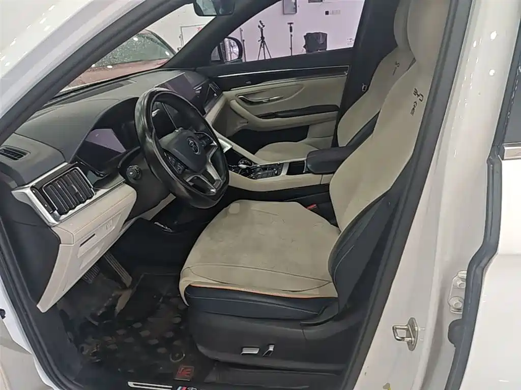 BYD PLUS New Energy 2021 — фото 15