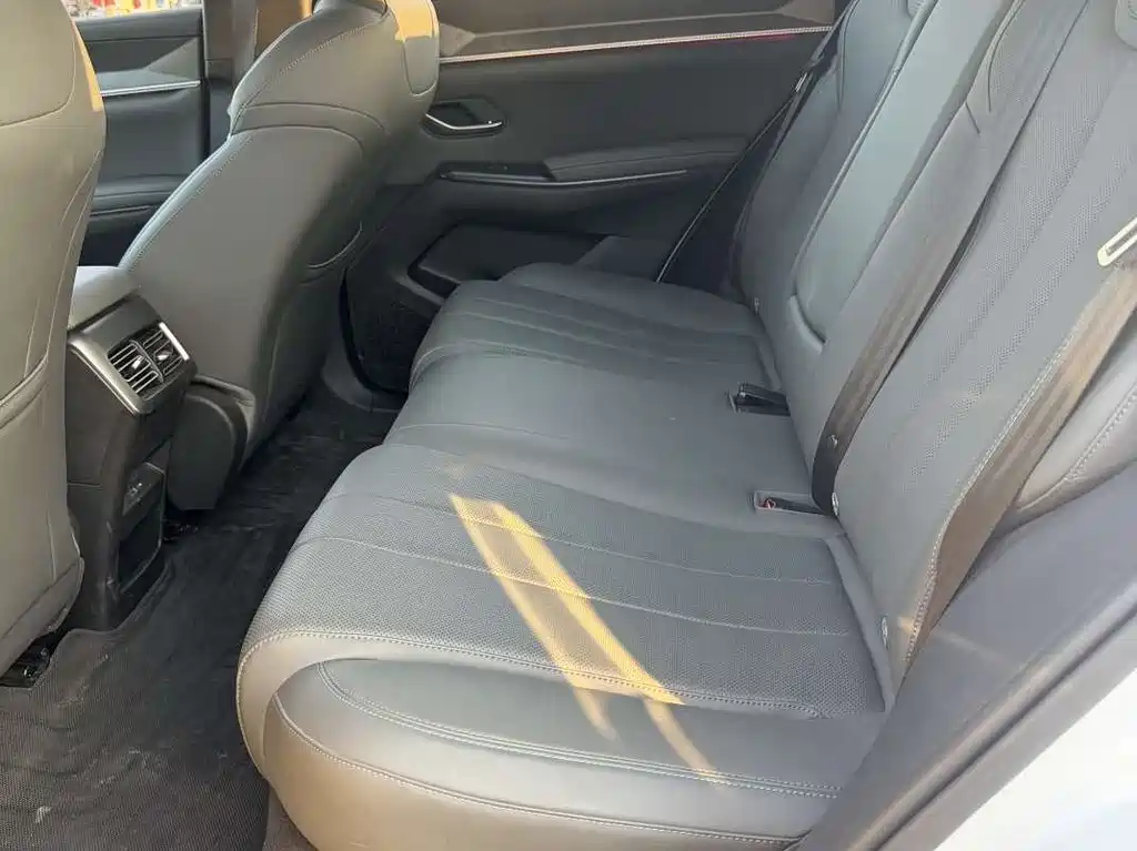 BYD Pro New Energy 2025 — фото 4