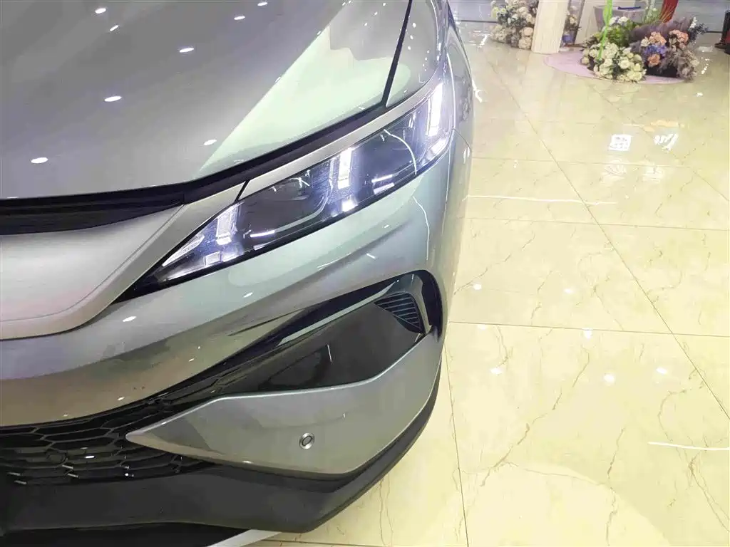 BYD Pro New Energy 2025 — фото 9