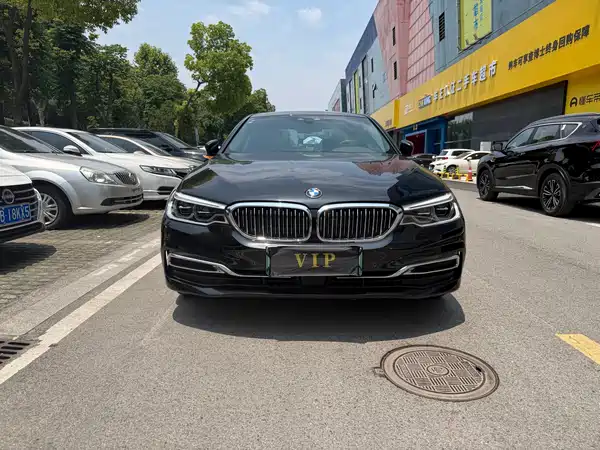BMW 5 Series New Energy 2020