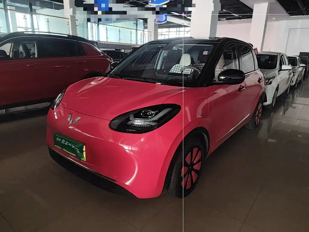 Wuling Bingo 2024