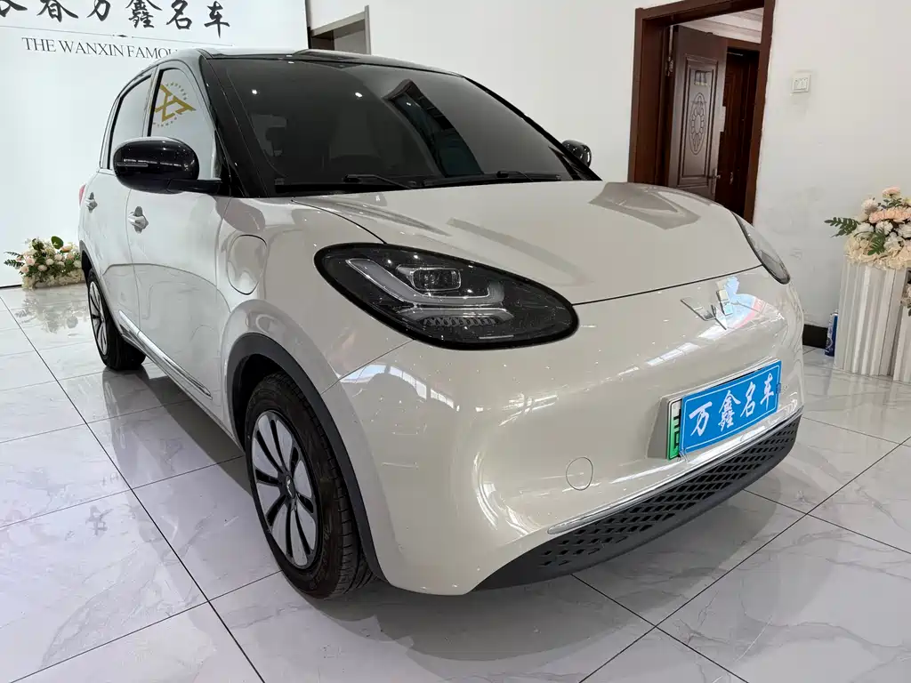 Wuling Bingo 2024