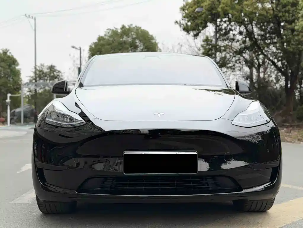 Tesla Model Y 2023 — фото 2