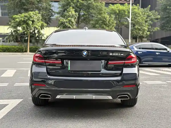 BMW 5 Series New Energy 2021