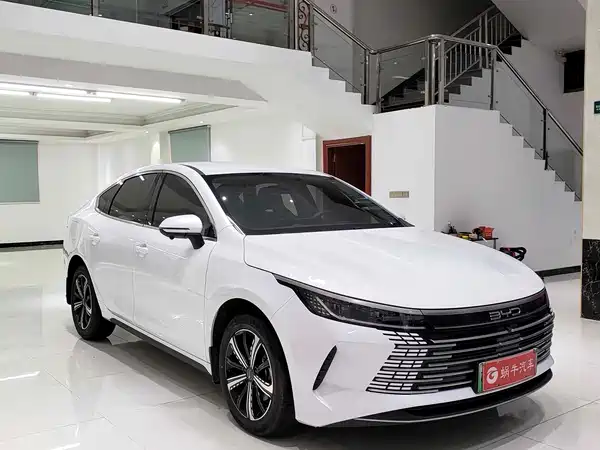 BYD Destroyer 05 2024