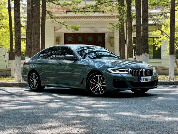 BMW 5 Series 2022