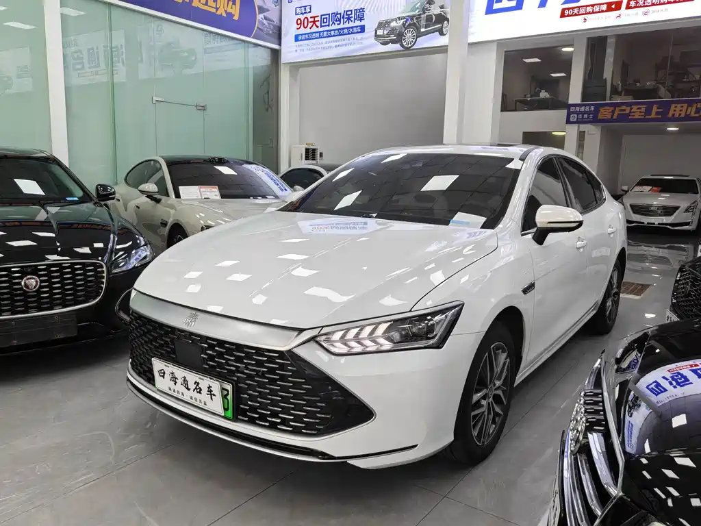 BYD Qin PLUS 2024 — фото 1