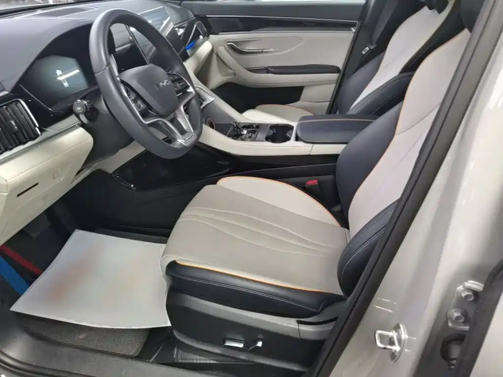 BYD PLUS New Energy 2023 — фото 15