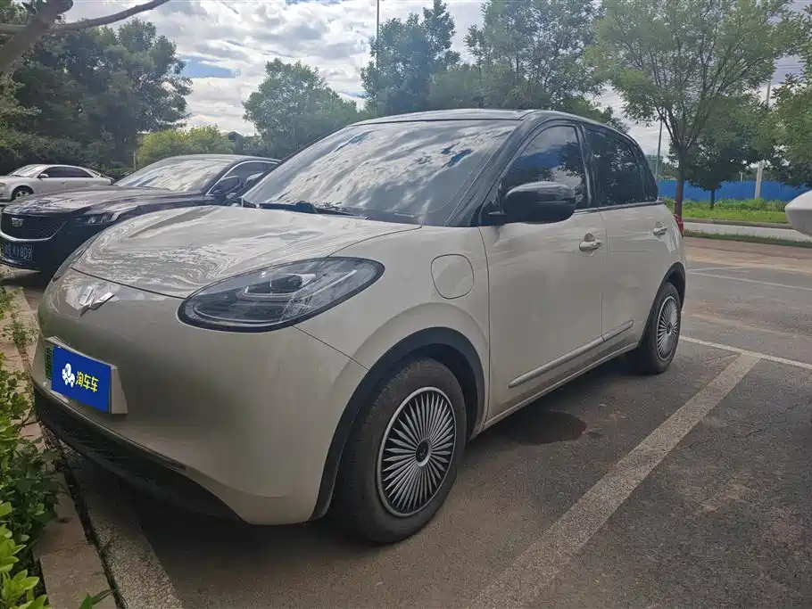 Wuling Bingo 2024
