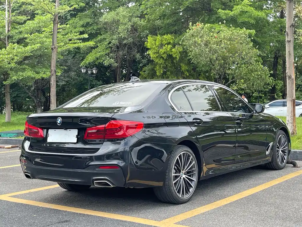 BMW 5 Series 2019