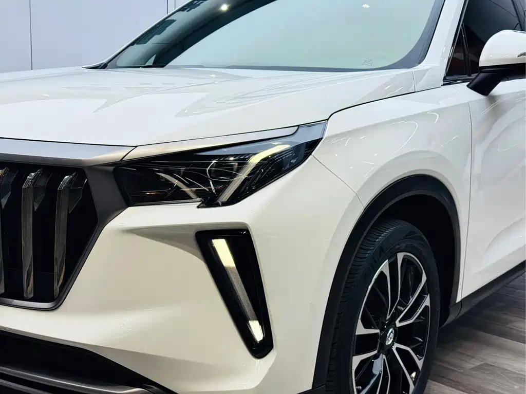GAC Motor GS4 Plus 2021 — фото 25