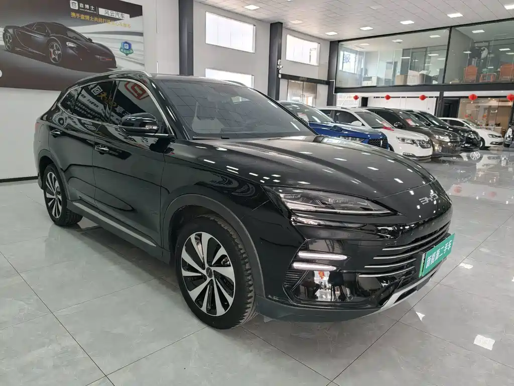 BYD Song PLUS New Energy 2024 — фото 3