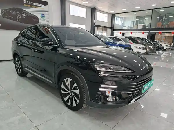 BYD Song PLUS New Energy 2024