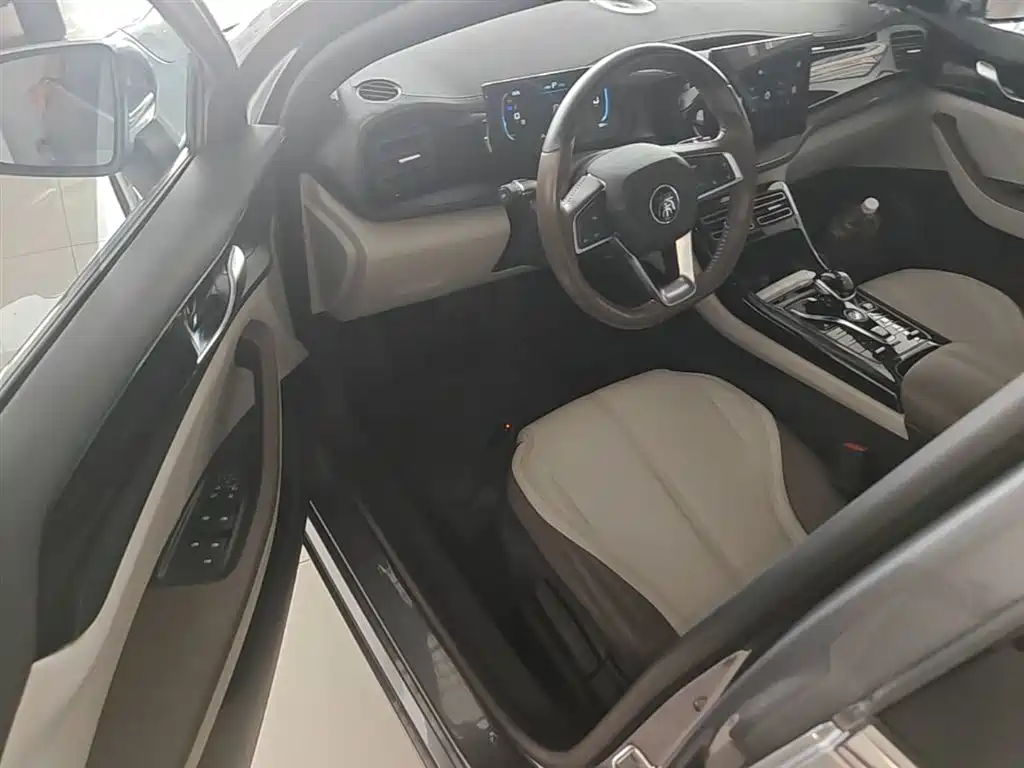 BYD Qin PLUS 2024 — фото 16