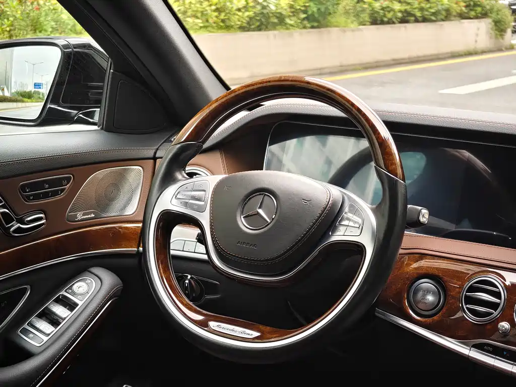 Mercedes-Benz S-Class 2014 — фото 13