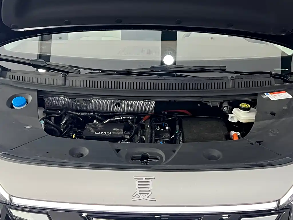 BYD Xia 2025