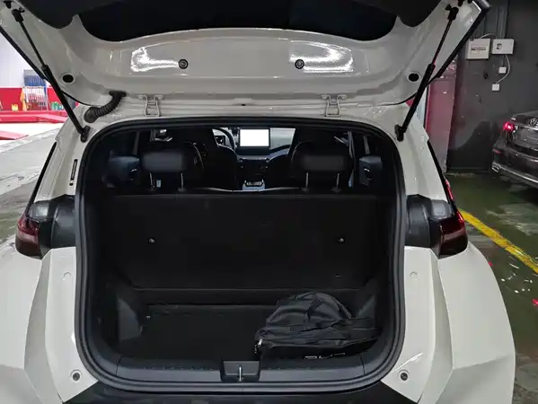 BYD Seagull 2024