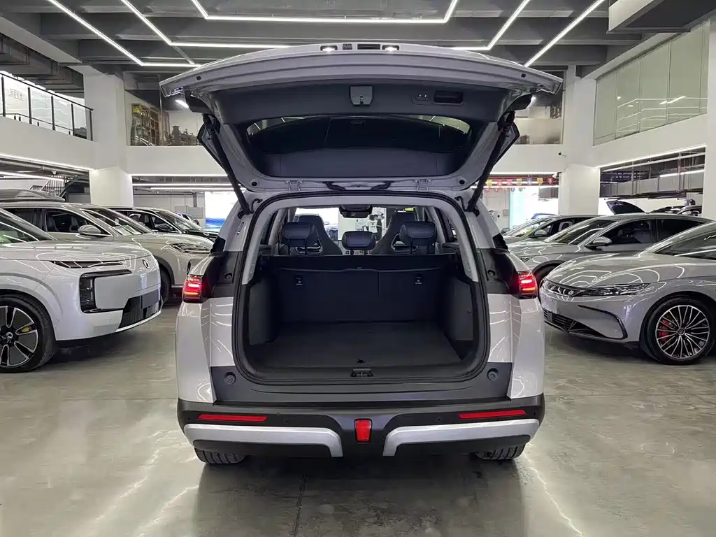 BYD Sealion 07 DM-i 2025 — фото 11
