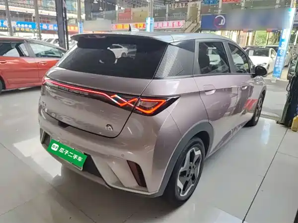 BYD Dolphin 2022