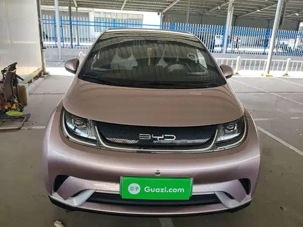 BYD Dolphin 2022