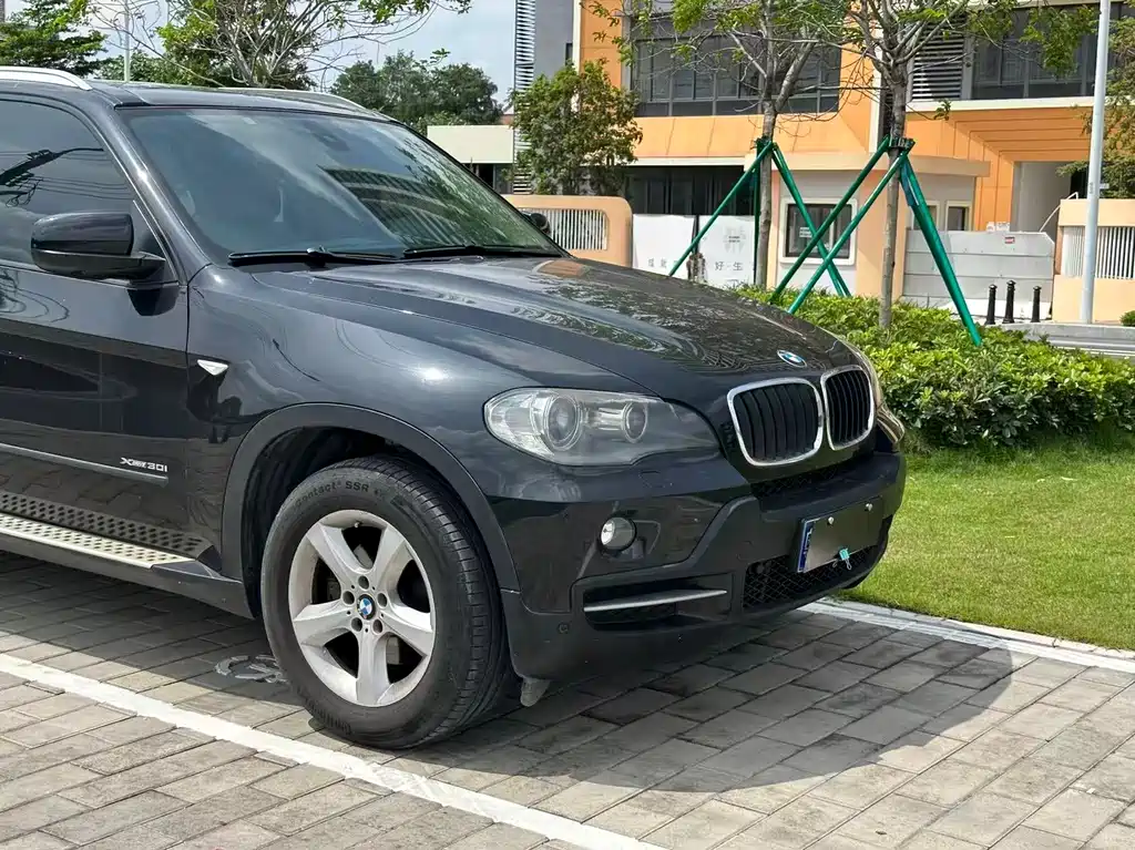 BMW X5 2010