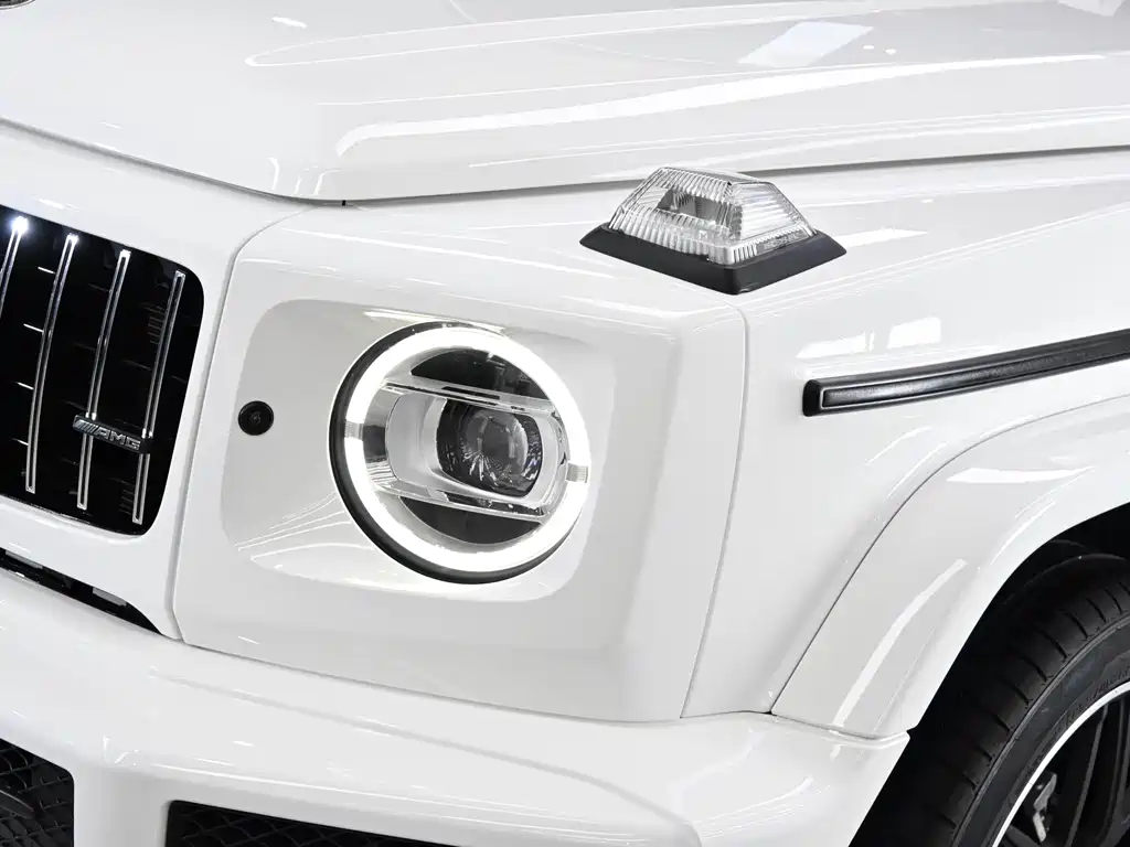 Mercedes-Benz G-Class 2021 — фото 8