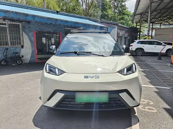 BYD Seagull 2024