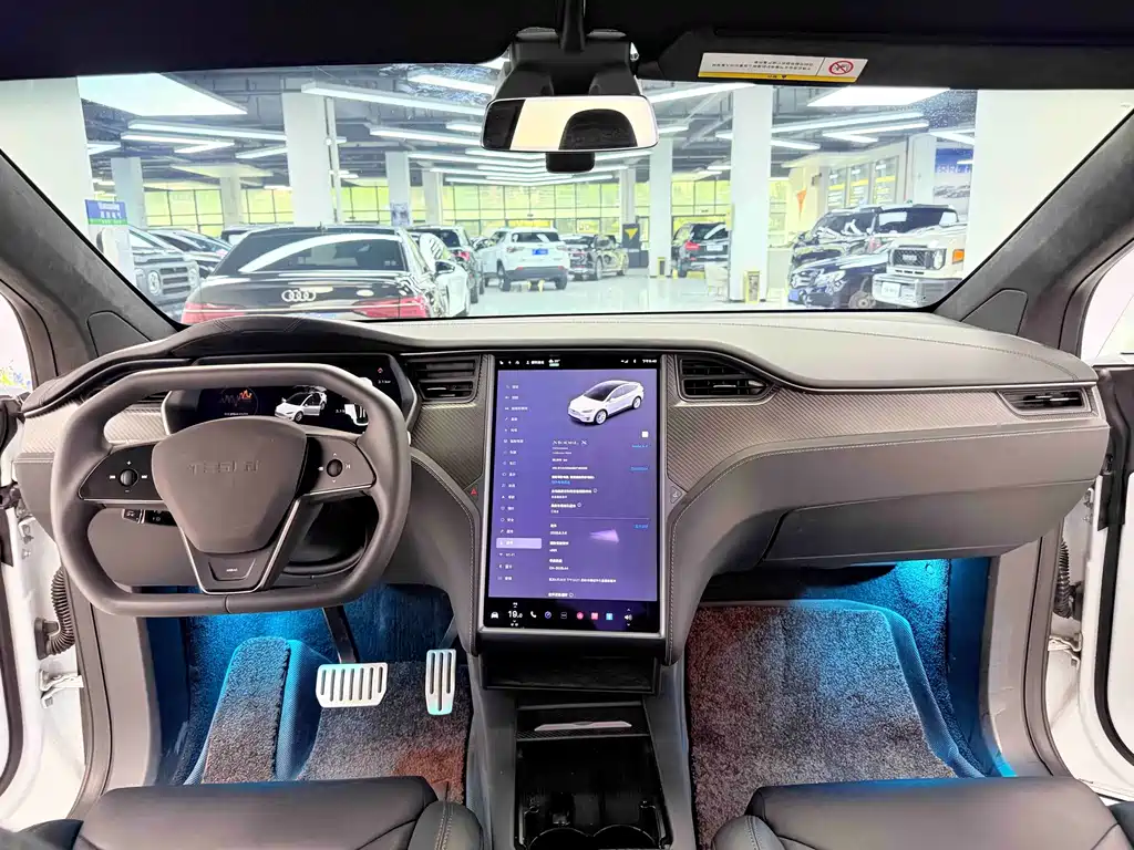 Tesla Model X 2019 — фото 8