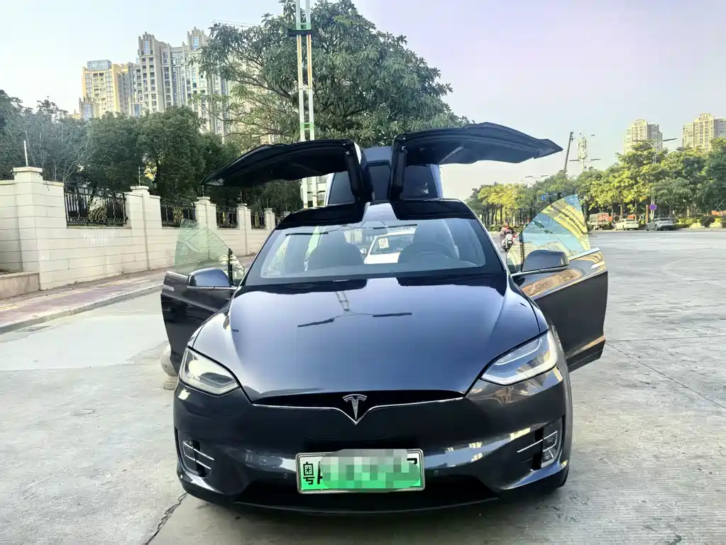 Tesla Model X 2020 — фото 10