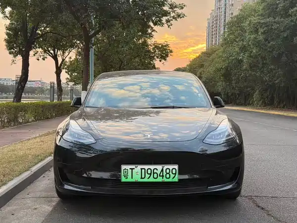 Tesla Model 3 2021