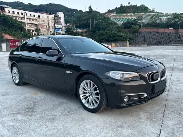 BMW 5 Series 2014