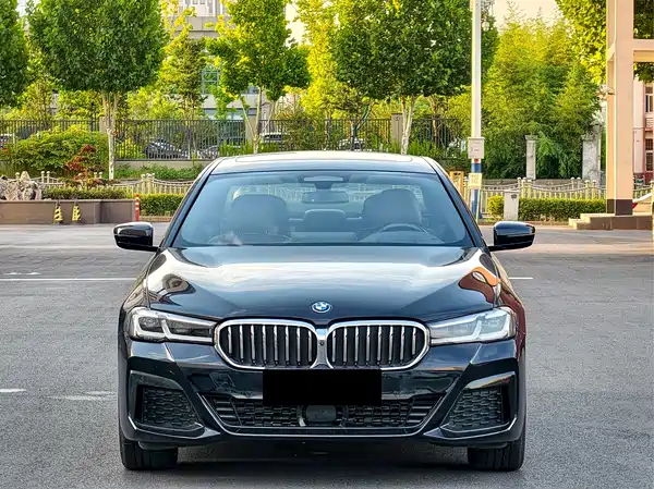 BMW 5 Series New Energy 2022