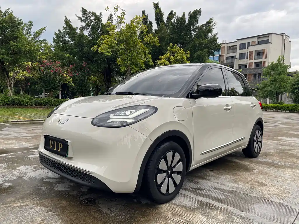 Wuling Bingo 2024
