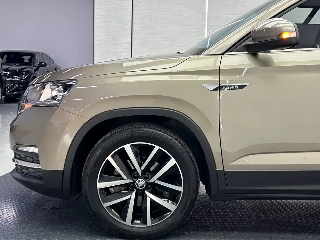 Skoda Kamiq 2023 — фото 8